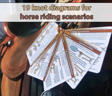 Load image into Gallery viewer, Horse Knot Cards